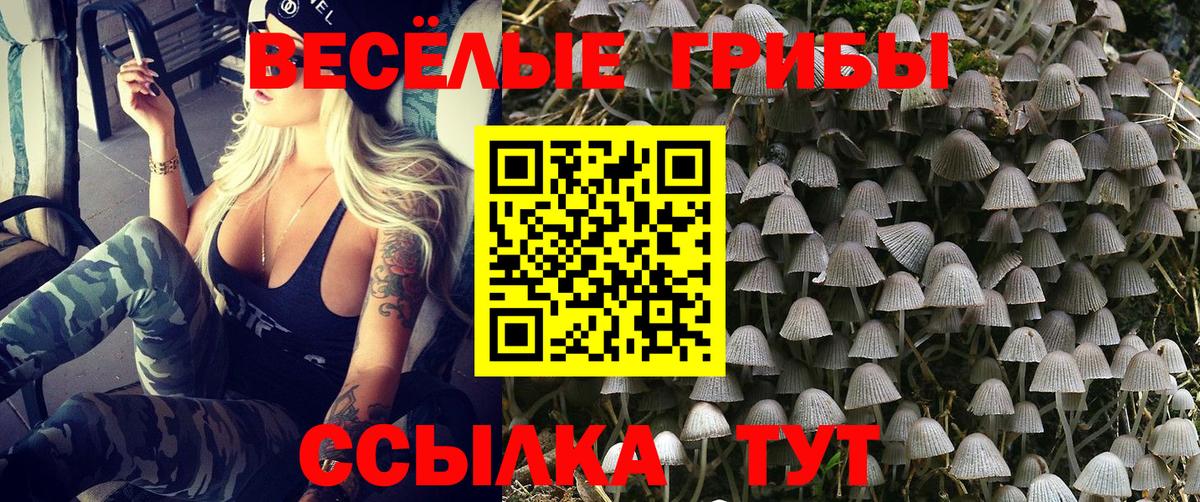 Боровичи  Галлюциногенные грибы ЛСД  Вход с VPN 