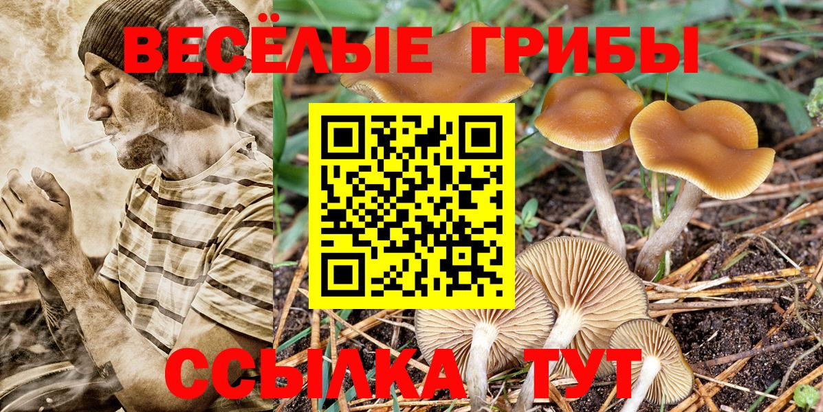 Галлюциногенные грибы ЛСД Боровичи